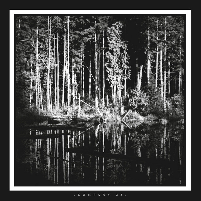 Company 23 album cover