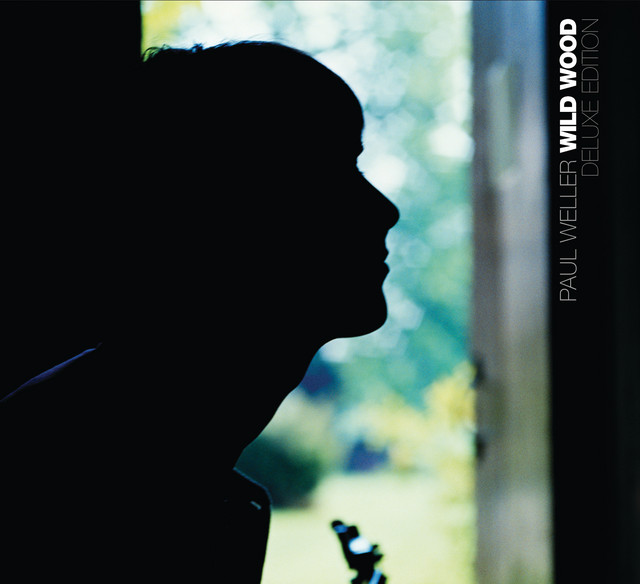 Wild Wood album cover