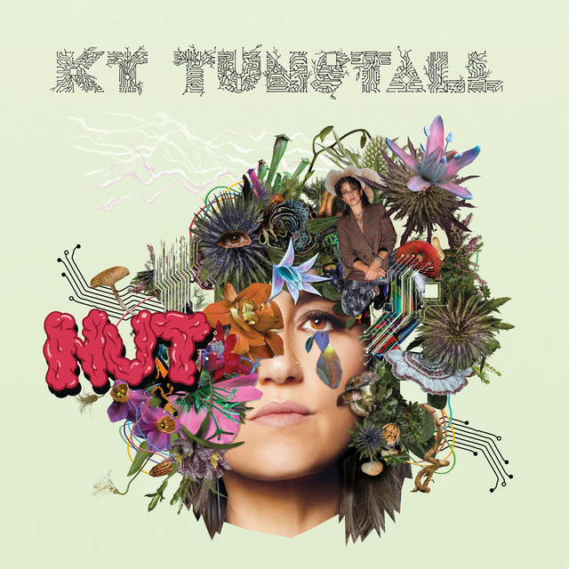 NUT album cover