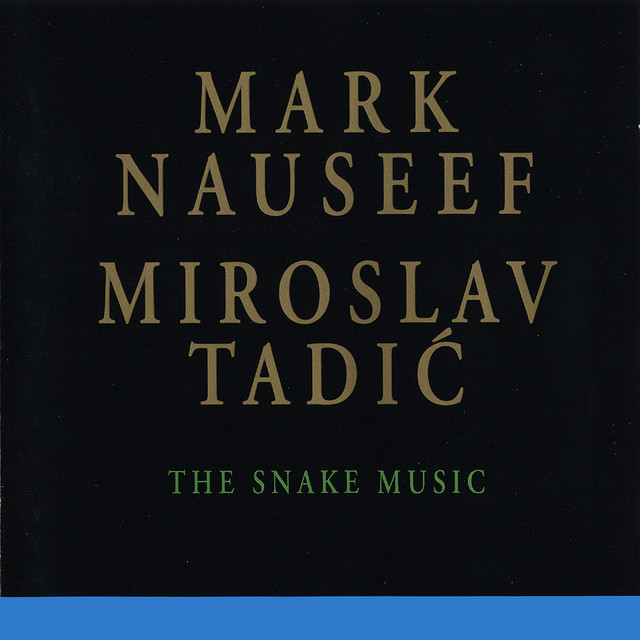 The Snake Music album cover
