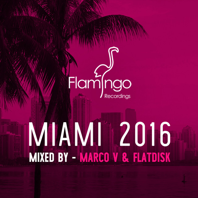 Flamingo Miami 2016 album cover