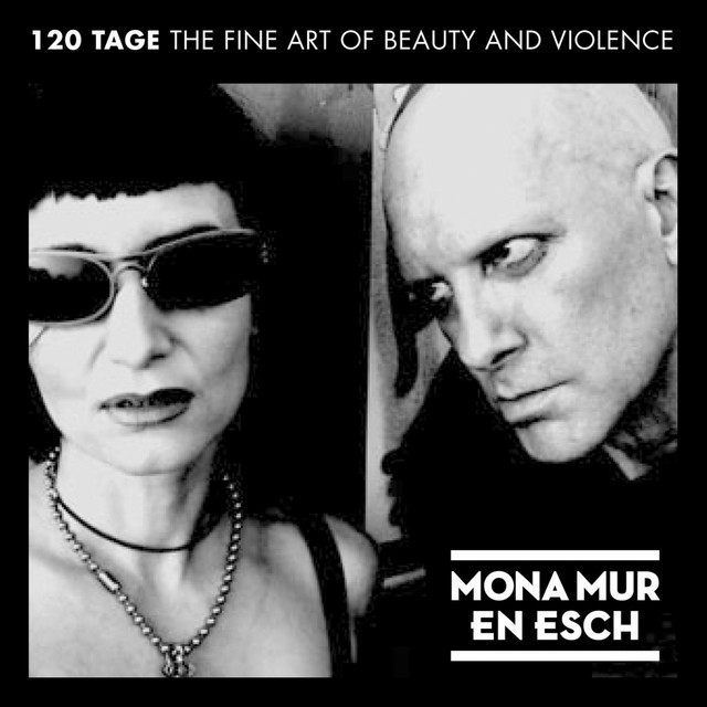 120 Tage - The Fine Art of Beauty & Violence album cover