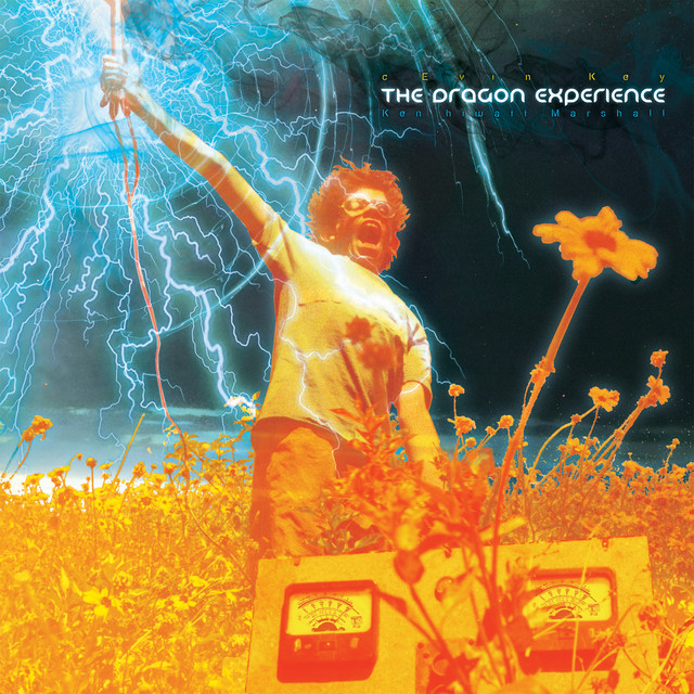 The Dragon Experience album cover