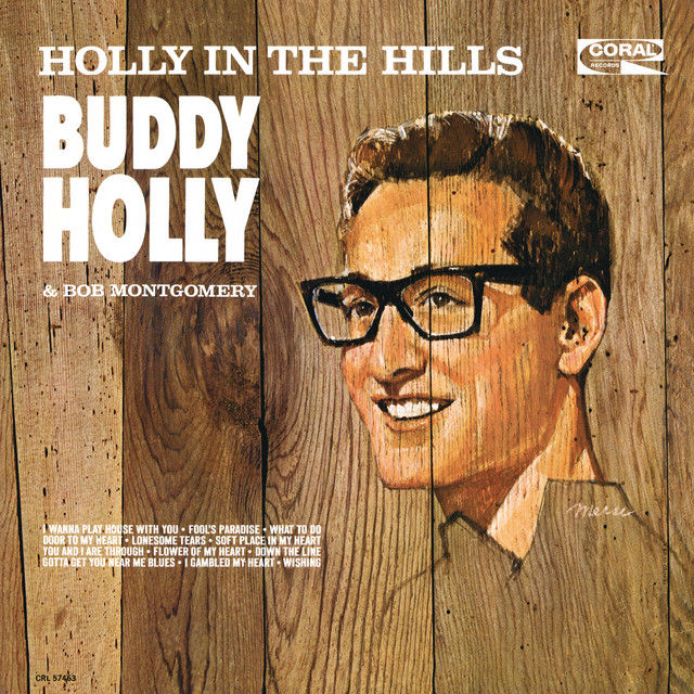 Holly In The Hills album cover