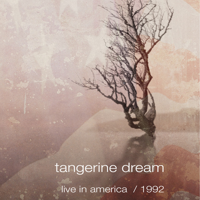 Live In America / 1992 album cover