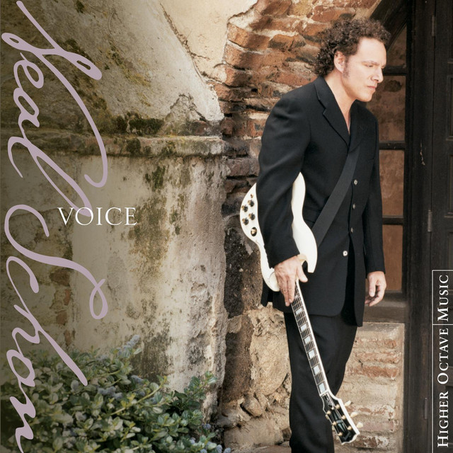 Voice album cover