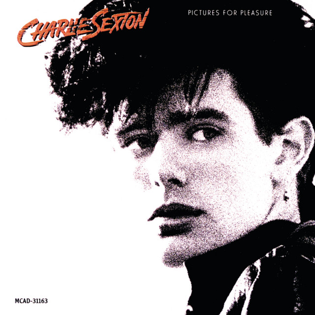 Pictures For Pleasure album cover
