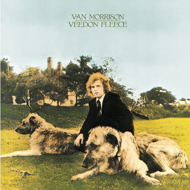 Veedon Fleece (Bonus Track Version) album cover