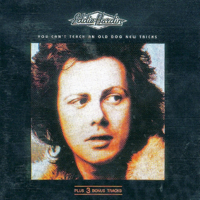 You Can't Teach An Old Dog New Tricks album cover