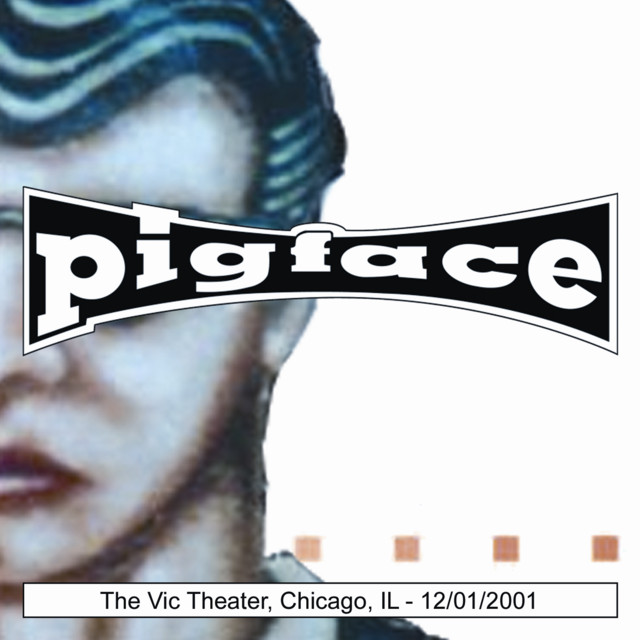 The Vic Theater, Chicago, IL 12/01/2001 album cover