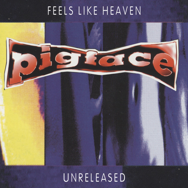 Feels Like Heaven...Sounds Like Shit! - Unreleased album cover