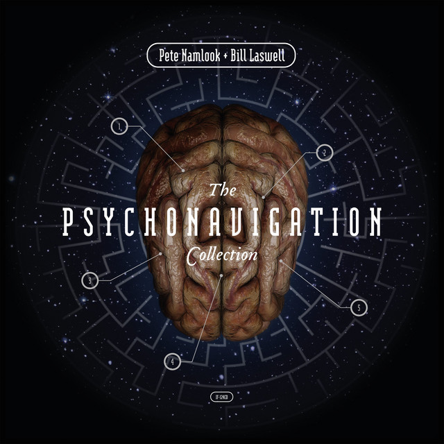 Wal 4-String Fretless Bass as heard on Psychonavigation by Namlook & Bill Laswell & Pete Namlook (2024)