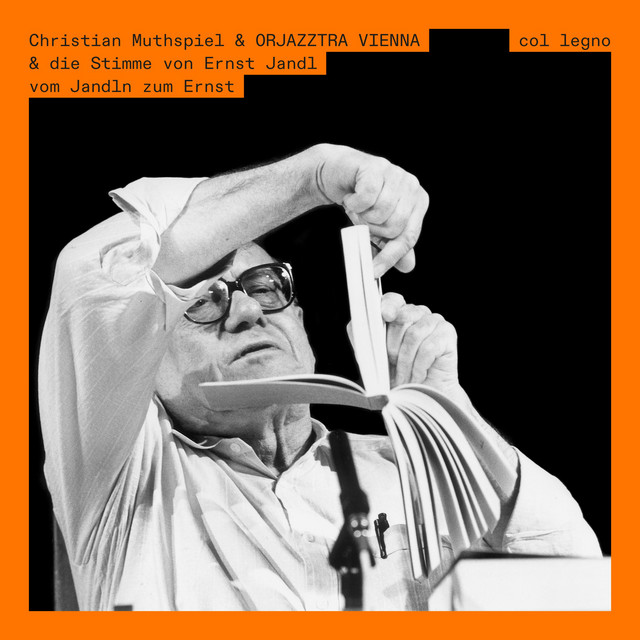 Vom Jandln zum Ernst album cover