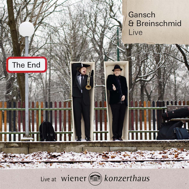The End album cover