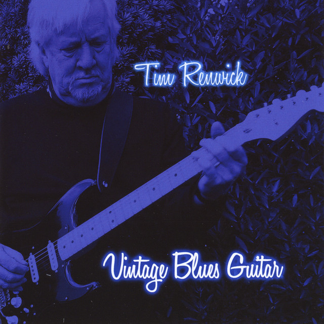 Vintage Blues Guitar album cover