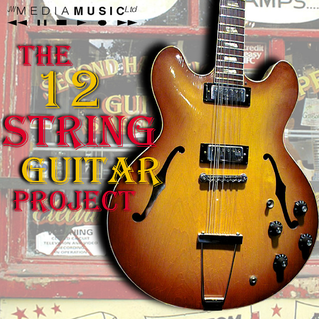 The 12-String Guitar Project album cover