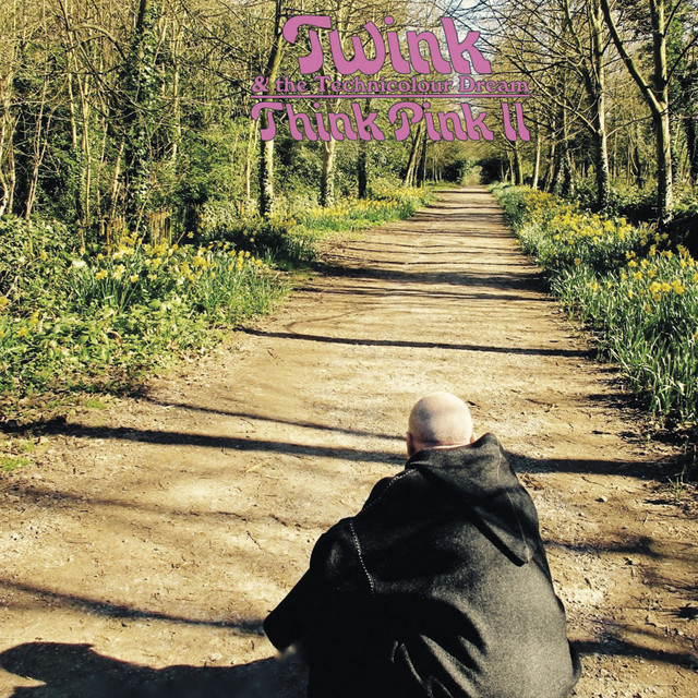 Think Pink II album cover