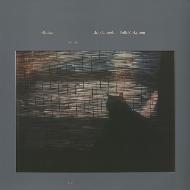 Vision album cover