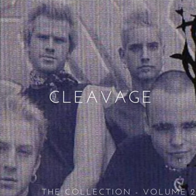 The Collection, Vol. 2 album cover