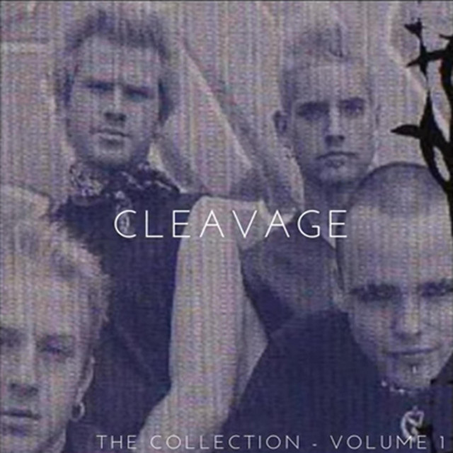 The Collection, Vol. 1 album cover