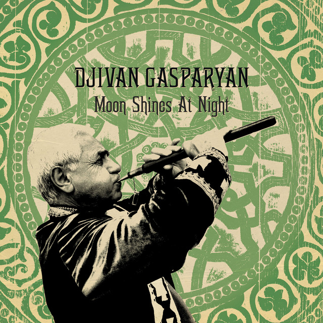 Moon Shines At Night album cover