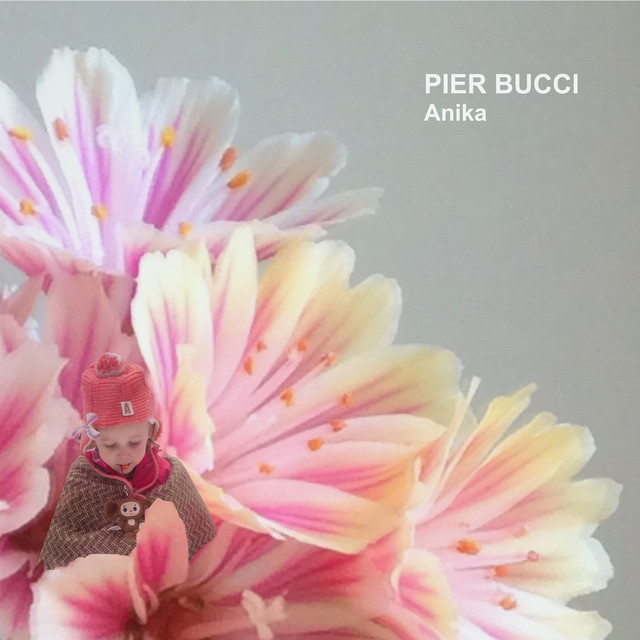 Anika album cover