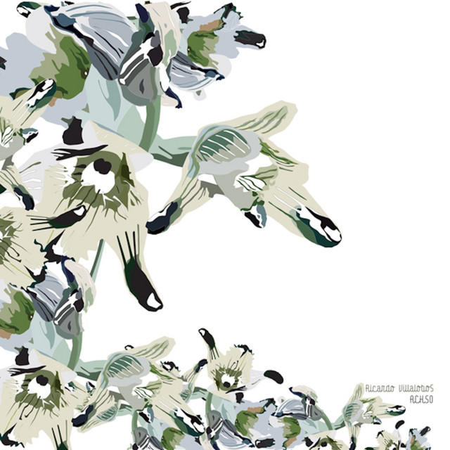 Achso album cover