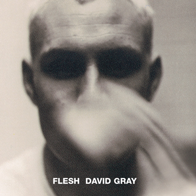 Flesh album cover