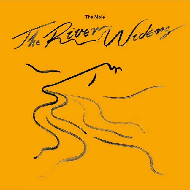 The River Widens album cover