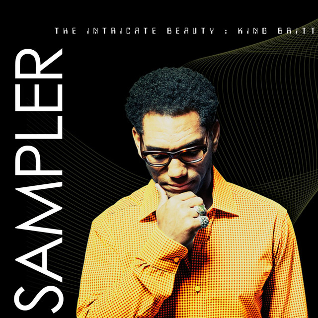 The Intricate Beauty SAMPLER album cover