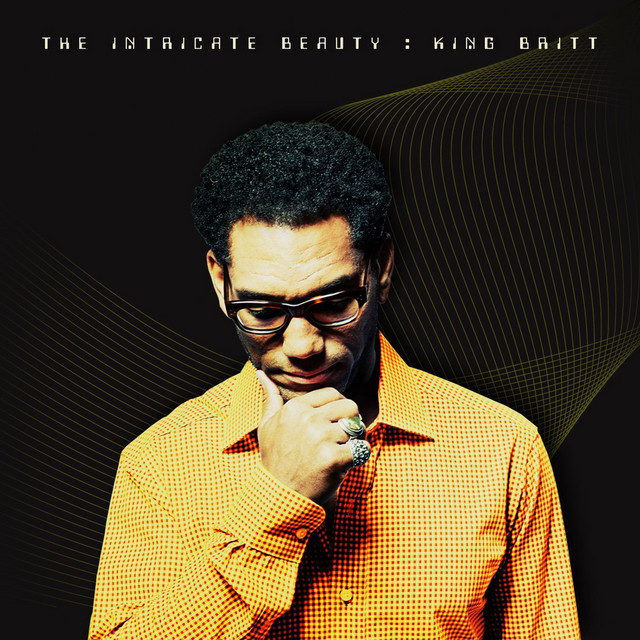 The Intricate Beauty album cover
