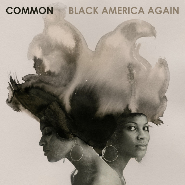 Black America Again (Commentary) album cover