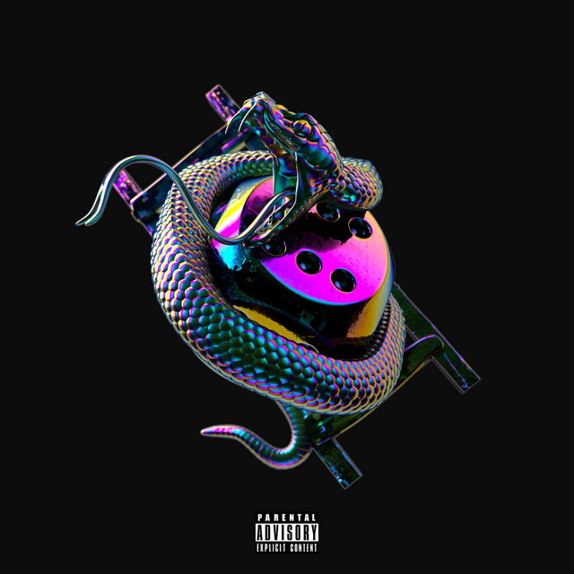 Snakes & Ladders album cover