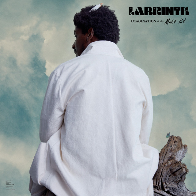 Imagination & the Misfit Kid album cover