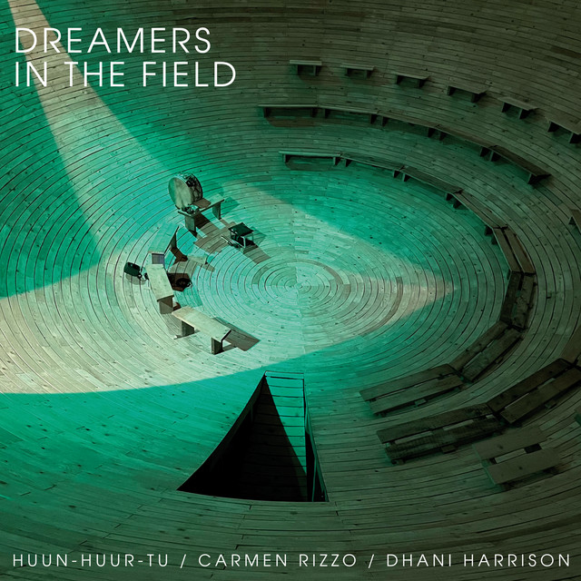 Dreamers In The Field album cover