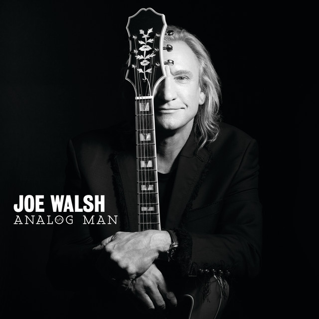 Fender SM-15 as heard on Analog Man by Joe Walsh (2012)