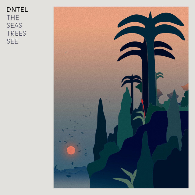 The Seas Trees See album cover