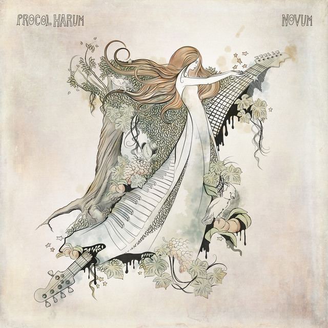Novum album cover