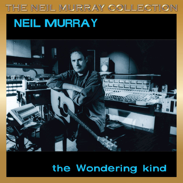 The Wondering Kind album cover