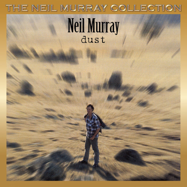 Dust album cover