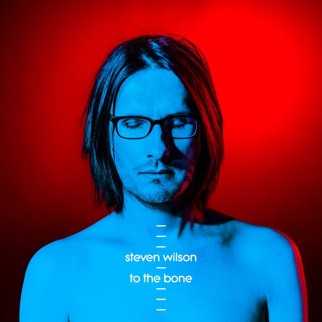 Selah Effects Quartz Timer V2 as heard on To The Bone by Steven Wilson (2017)