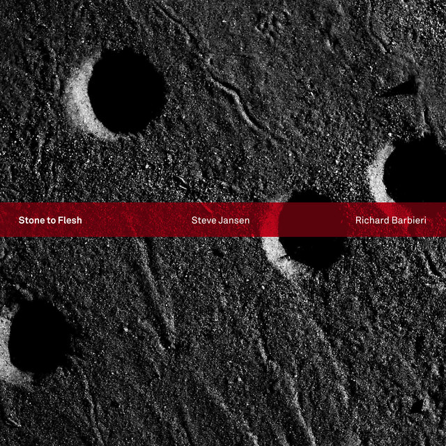 Stone to Flesh album cover