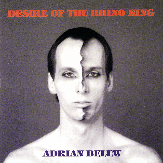 Desire Of The Rhino King album cover