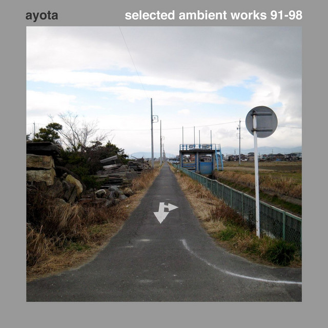 Selected Ambient Works 91-98 album cover