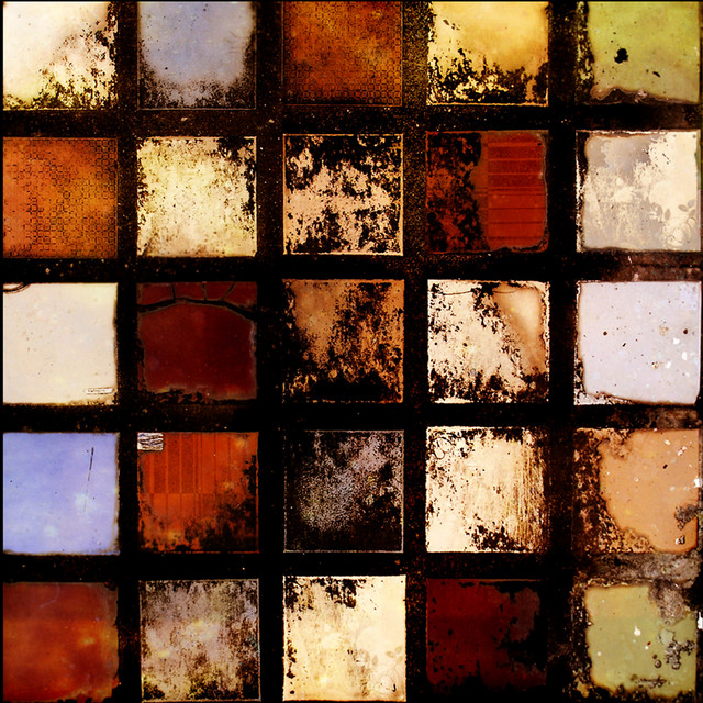 Autoimmune album cover