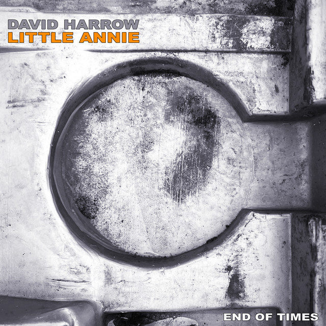 End of Times (Mixes) album cover