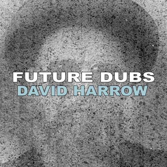 Future Dubs album cover