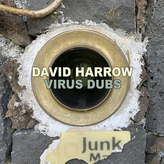 Virus Dubs album cover