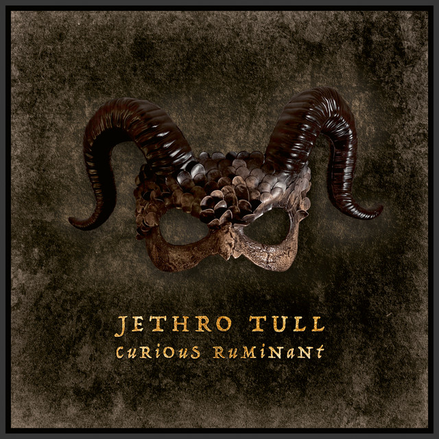 Curious Ruminant album cover