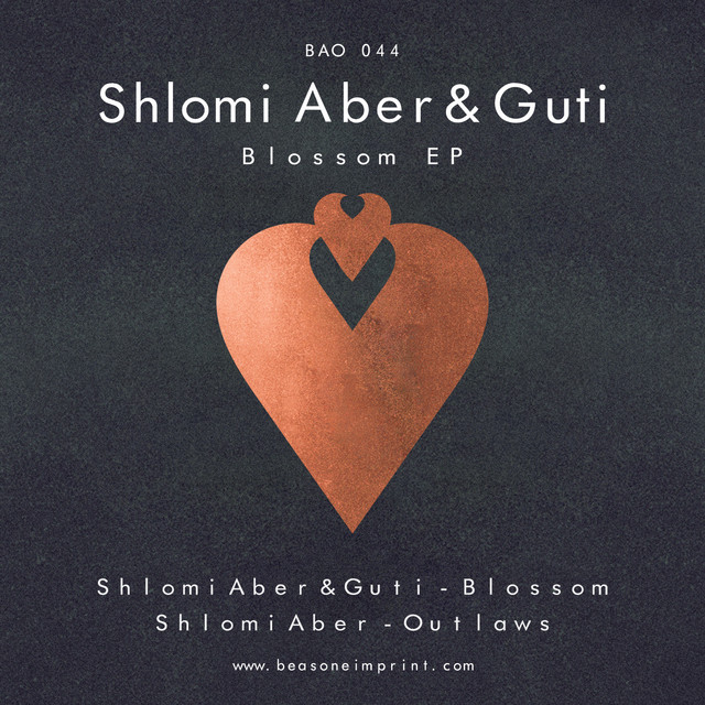 Moog Minimoog Voyager as heard on Blossom by Shlomi Aber (2013)